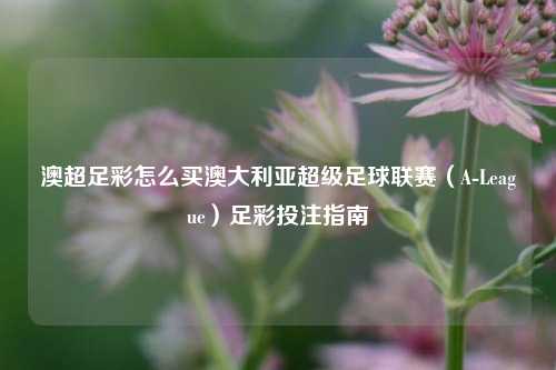 澳超足彩怎么买澳大利亚超级足球联赛（A-League）足彩投注指南