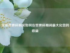 足彩世界杯购买如何在世界杯期间最大化您的收益