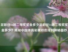 足彩任14场二等奖奖金多少足彩任14场二等奖奖金多少？揭秘中国体育彩票双色球的神秘面纱