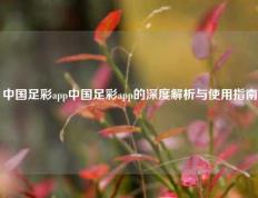 中国足彩app中国足彩app的深度解析与使用指南