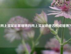 网上买足彩算赌博吗网上买足彩是否构成赌博？