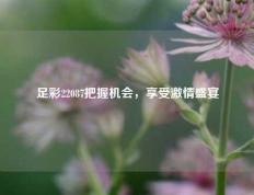 足彩22087把握机会，享受激情盛宴
