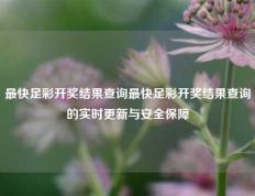 最快足彩开奖结果查询最快足彩开奖结果查询的实时更新与安全保障