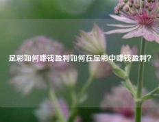 足彩如何赚钱盈利如何在足彩中赚钱盈利？