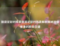 新浪足彩对阵表新浪足彩对阵表解析揭秘顶级赛事的胜负关键