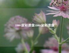 18004足彩澳盘18004足彩澳盘