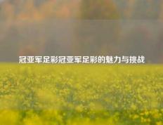 冠亚军足彩冠亚军足彩的魅力与挑战