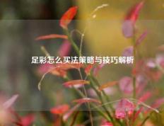 足彩怎么买法策略与技巧解析