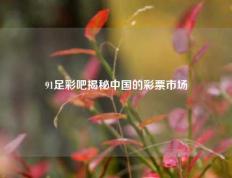91足彩吧揭秘中国的彩票市场