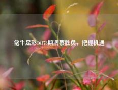 佬牛足彩16178期洞察胜负，把握机遇
