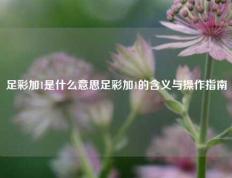 足彩加1是什么意思足彩加1的含义与操作指南