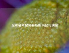 足彩会所足彩会所的兴起与演变
