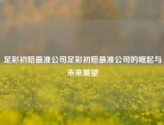 足彩初赔最准公司足彩初赔最准公司的崛起与未来展望