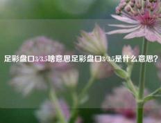 足彩盘口3/3.5啥意思足彩盘口3/3.5是什么意思？