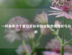一共有多少个皇冠足彩中国足彩市场现状与分析