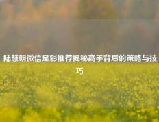 陆慧明微信足彩推荐揭秘高手背后的策略与技巧