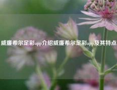 威廉希尔足彩app介绍威廉希尔足彩app及其特点