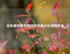 足彩盈利概率揭秘如何最大化你的收益