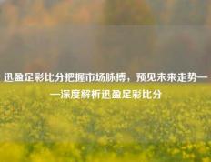 迅盈足彩比分把握市场脉搏，预见未来走势——深度解析迅盈足彩比分