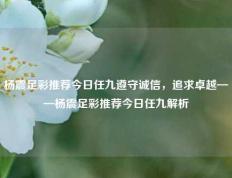 杨震足彩推荐今日任九遵守诚信，追求卓越——杨震足彩推荐今日任九解析