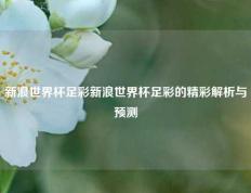新浪世界杯足彩新浪世界杯足彩的精彩解析与预测