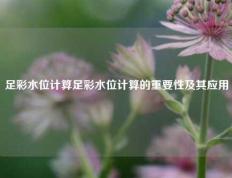 足彩水位计算足彩水位计算的重要性及其应用