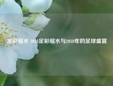 足彩缩水 2018足彩缩水与2018年的足球盛宴