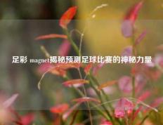 足彩 magnet揭秘预测足球比赛的神秘力量