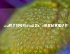 17163期足彩预测2023年第17163期足球赛事结果