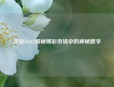 足彩16167揭秘博彩市场中的神秘数字