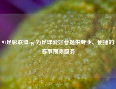91足彩联盟app为足球爱好者提供专业、便捷的赛事预测服务