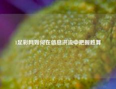 1足彩网如何在信息洪流中把握胜算