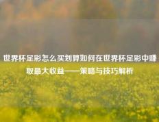世界杯足彩怎么买划算如何在世界杯足彩中赚取最大收益——策略与技巧解析
