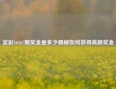 足彩16167期奖金是多少揭秘如何获得高额奖金
