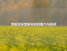 雪原足彩雪原足彩的魅力与挑战