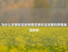 为什么世界杯足彩停售世界杯足球赛的停售原因探析