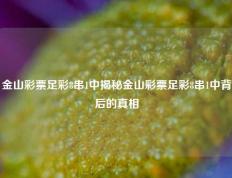 金山彩票足彩8串1中揭秘金山彩票足彩8串1中背后的真相