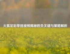 火狐足彩单挑视频揭秘胜负关键与策略解析