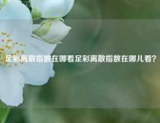 足彩离散指数在哪看足彩离散指数在哪儿看？