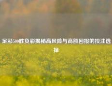 足彩500胜负彩揭秘高风险与高额回报的投注选择