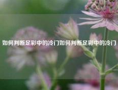 如何判断足彩中的冷门如何判断足彩中的冷门