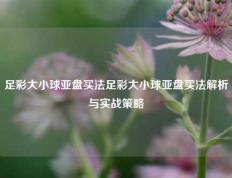足彩大小球亚盘买法足彩大小球亚盘买法解析与实战策略