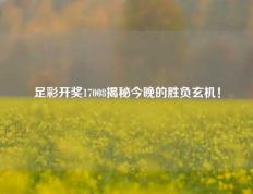 足彩开奖17008揭秘今晚的胜负玄机！