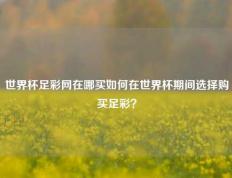 世界杯足彩网在哪买如何在世界杯期间选择购买足彩？