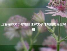 足彩滚球大小球规则理解大小球规则的深度解析