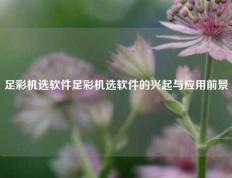 足彩机选软件足彩机选软件的兴起与应用前景