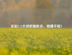 足彩2.75大球把握机会，稳赚不赔！