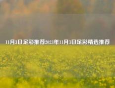11月3日足彩推荐2023年11月3日足彩精选推荐