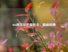 066期足彩把握机会，稳操胜券