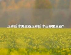 足彩赔率哪里看足彩赔率在哪里查看？